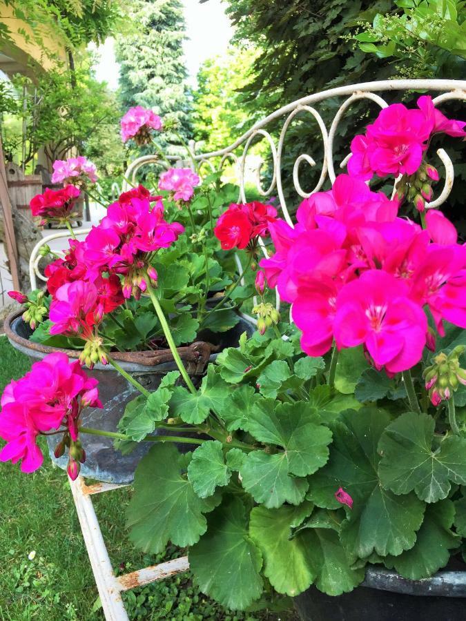 La Casa Di Gabri Bed and Breakfast Iseo Buitenkant foto